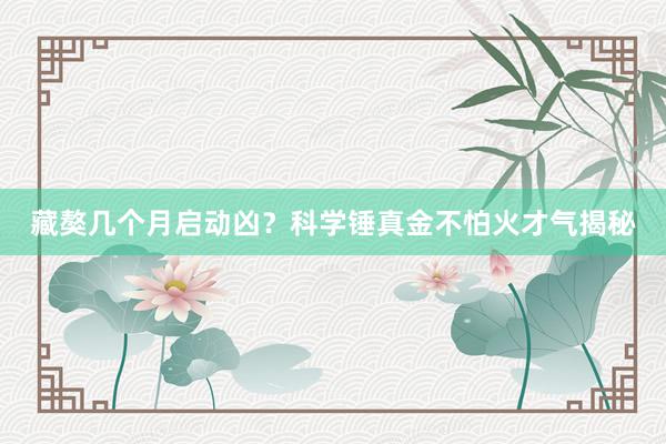 藏獒几个月启动凶？科学锤真金不怕火才气揭秘